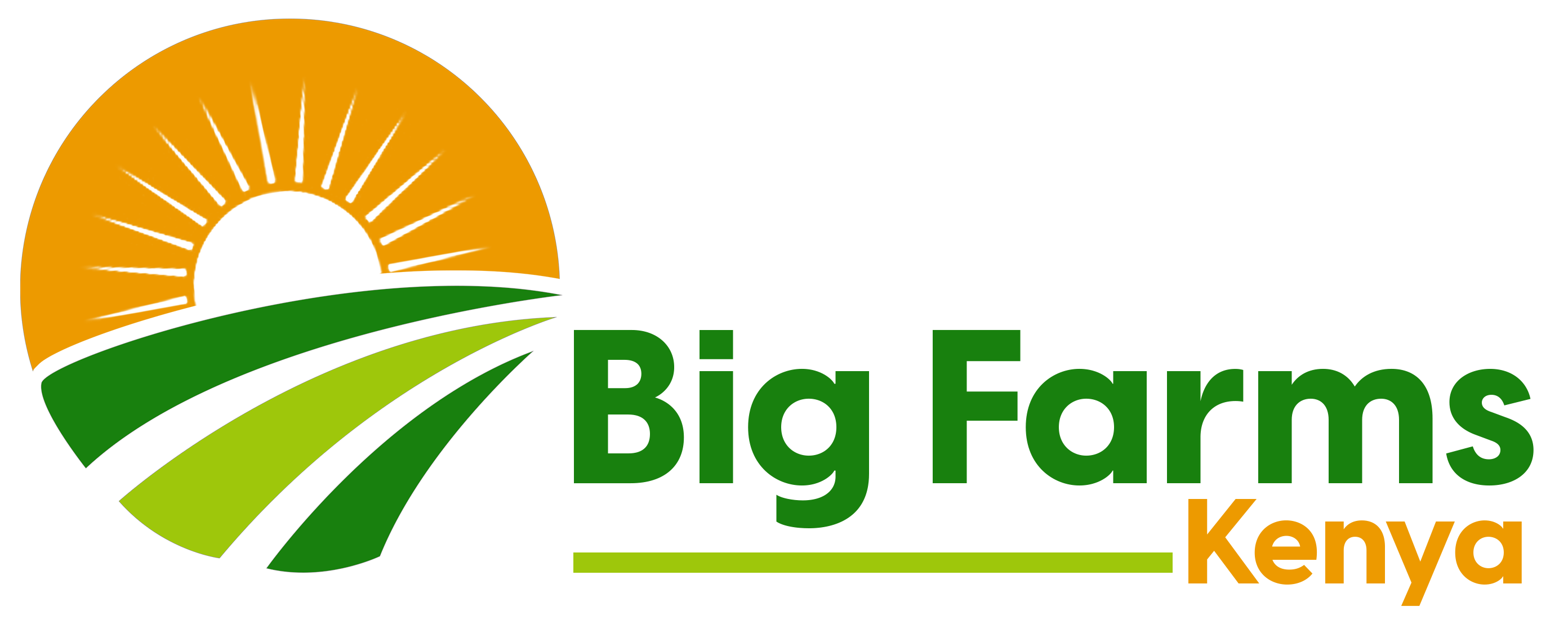 Big Farms Kenya